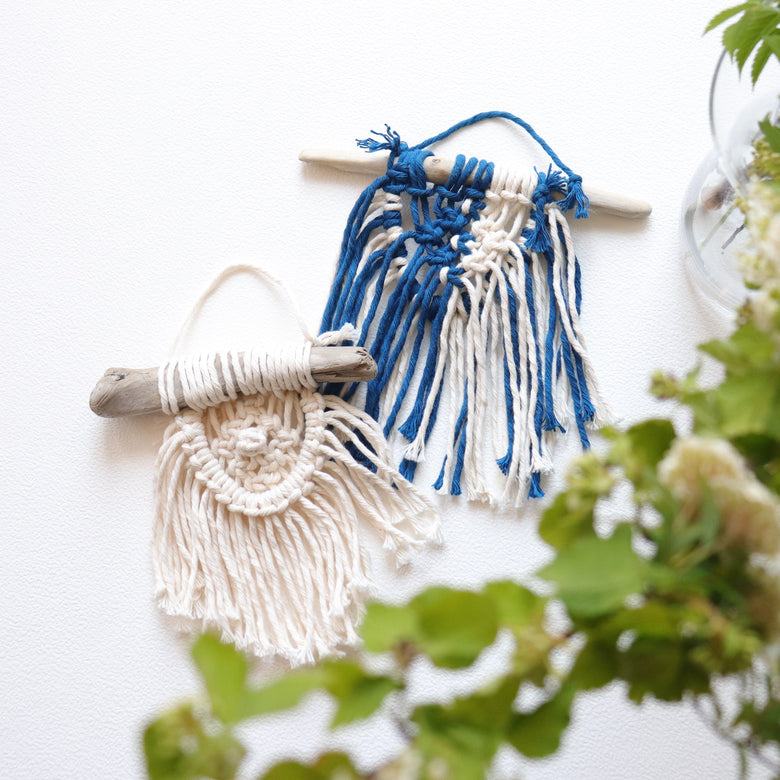 【sawada itto】5月10日はコットンの日！