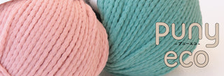 puny eco