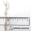 もったいない糸:1021　 ナイロンフェザーヤーン 6　約200g(1200m）
