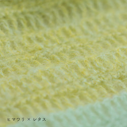 sawada itto：サワダイット-Liion-ボーダーマフラー