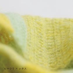 sawada itto：サワダイット-Liion-ボーダーマフラー