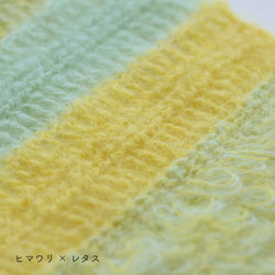 sawada itto：サワダイット-Liion-ボーダーマフラー