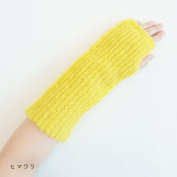 sawada itto：サワダイット-Liion-