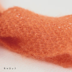 sawada itto：サワダイット-Liion-