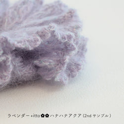 sawada itto：サワダイット-Liion-ハナハナシュシュ