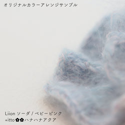 sawada itto：サワダイット-Liion-ハナハナシュシュ