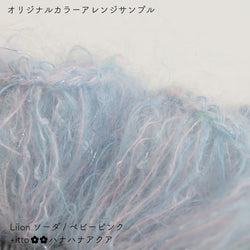 sawada itto：サワダイット-Liion-ハナハナシュシュ