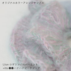 sawada itto：サワダイット-Liion-ハナハナシュシュ