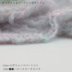 sawada itto：サワダイット-Liion-ハナハナシュシュ