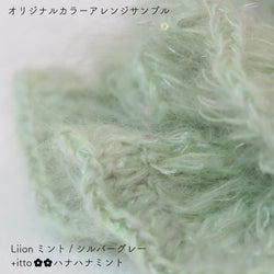 sawada itto：サワダイット-Liion-ハナハナシュシュ