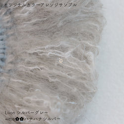 sawada itto：サワダイット-Liion-ハナハナシュシュ