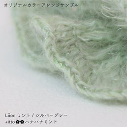 sawada itto：サワダイット-Liion-ハナハナシュシュ