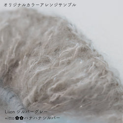 sawada itto：サワダイット-Liion-ハナハナシュシュ