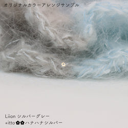 sawada itto：サワダイット-Liion-ハナハナシュシュ