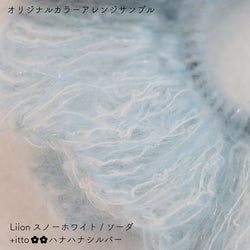 sawada itto：サワダイット-Liion-ハナハナシュシュ