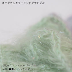 sawada itto：サワダイット-Liion-ハナハナシュシュ