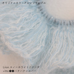 sawada itto：サワダイット-Liion-ハナハナシュシュ
