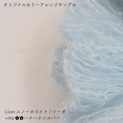 sawada itto：サワダイット-Liion-ハナハナシュシュ