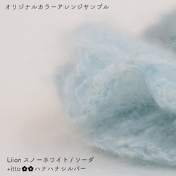 sawada itto：サワダイット-Liion-ハナハナシュシュ