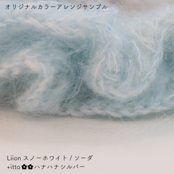 sawada itto：サワダイット-Liion-ハナハナシュシュ
