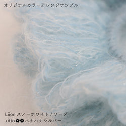 sawada itto：サワダイット-Liion-ハナハナシュシュ