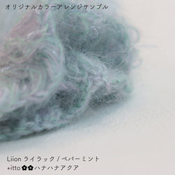 sawada itto：サワダイット-Liion-ハナハナシュシュ
