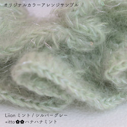 sawada itto：サワダイット-Liion-ハナハナシュシュ