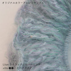 sawada itto：サワダイット-Liion-ハナハナシュシュ