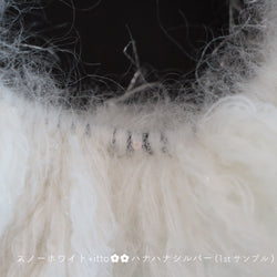 sawada itto：サワダイット-Liion-ハナハナシュシュ