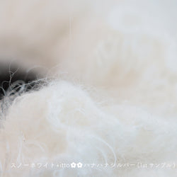 sawada itto：サワダイット-Liion-ハナハナシュシュ