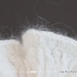 sawada itto：サワダイット-Liion-ハナハナシュシュ