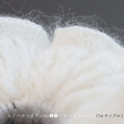 sawada itto：サワダイット-Liion-ハナハナシュシュ