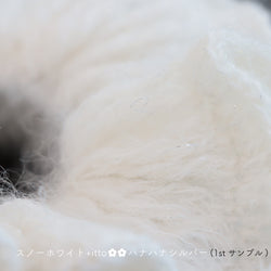 sawada itto：サワダイット-Liion-ハナハナシュシュ