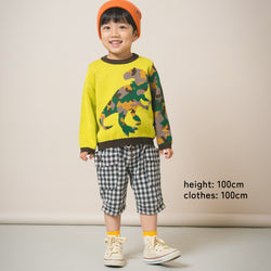 【New Arrival】ami amie : 恐竜カモフラプルオーバー/253010