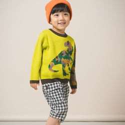 【New Arrival】ami amie : 恐竜カモフラプルオーバー/253010