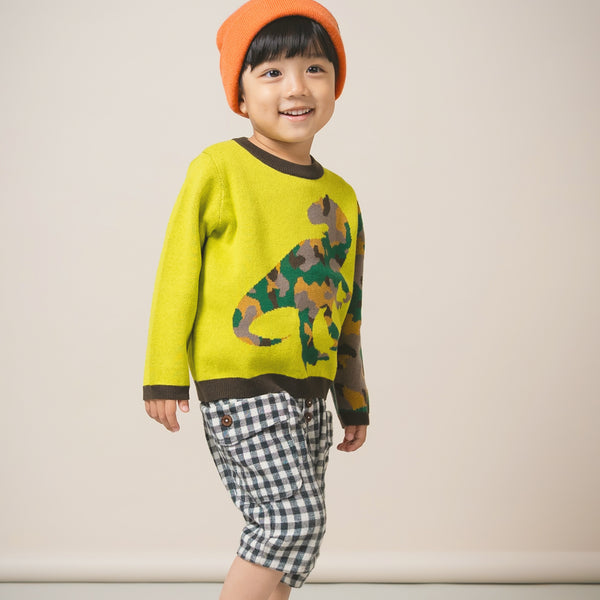 【New Arrival】ami amie : 恐竜カモフラプルオーバー/253010