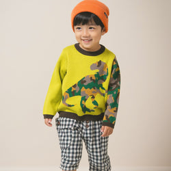 【New Arrival】ami amie : 恐竜カモフラプルオーバー/253010