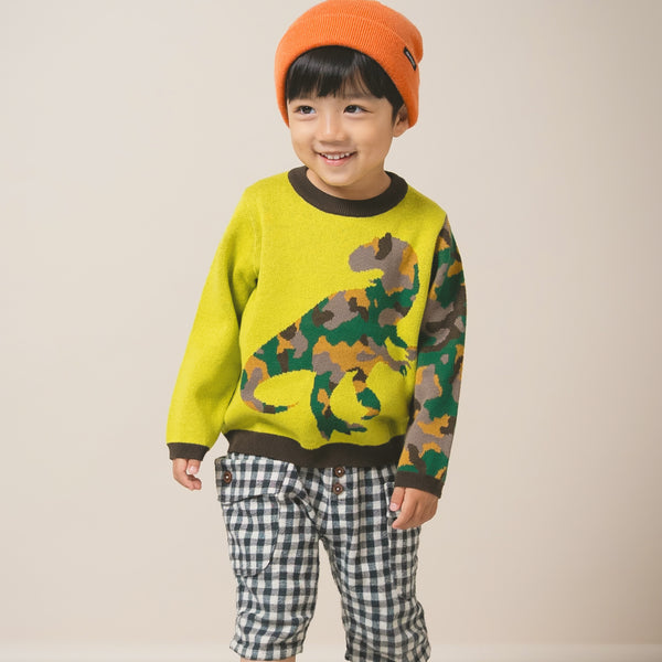 【New Arrival】ami amie : 恐竜カモフラプルオーバー/253010