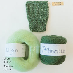 sawada itto：サワダイット-Amotto×Liion-ハイネックボレロ