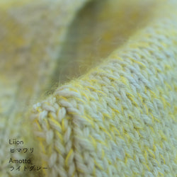 sawada itto：サワダイット-Amotto×Liion-ハイネックボレロ