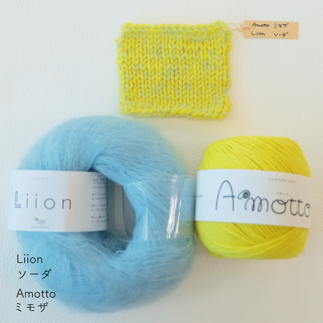 sawada itto：サワダイット-Amotto×Liion-ハイネックボレロ