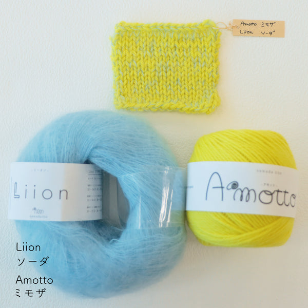 sawada itto：サワダイット-Amotto×Liion-ハイネックボレロ