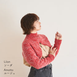 sawada itto：サワダイット-Amotto×Liion-ハイネックボレロ