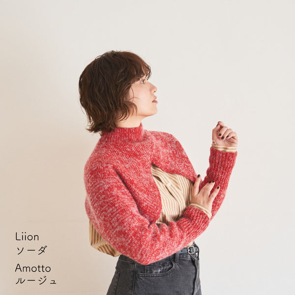 sawada itto：サワダイット-Amotto×Liion-ハイネックボレロ