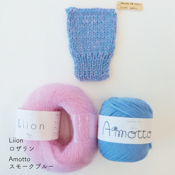 sawada itto：サワダイット-Amotto×Liion-ハイネックボレロ