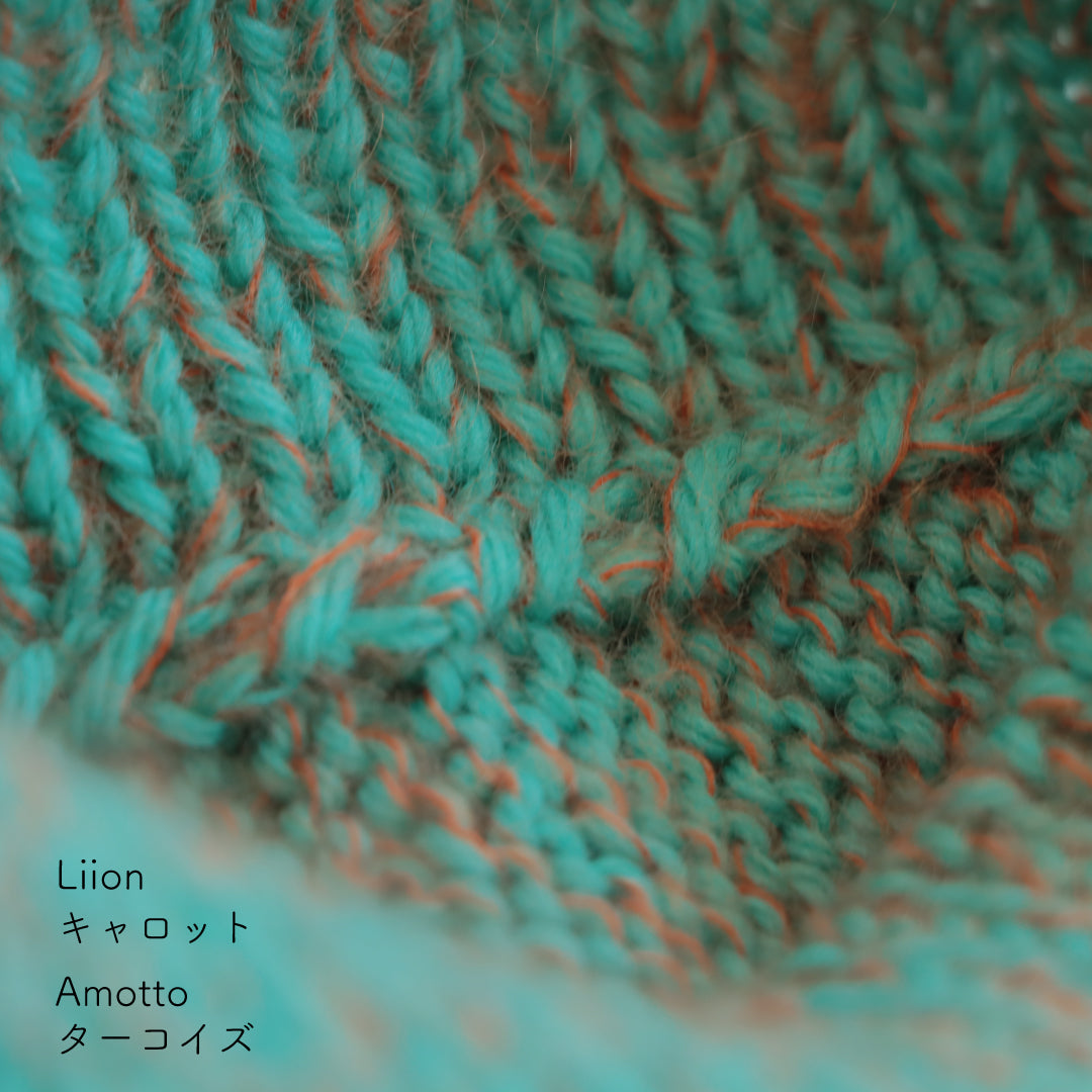 sawada itto：サワダイット-Amotto×Liion-ハイネックボレロ