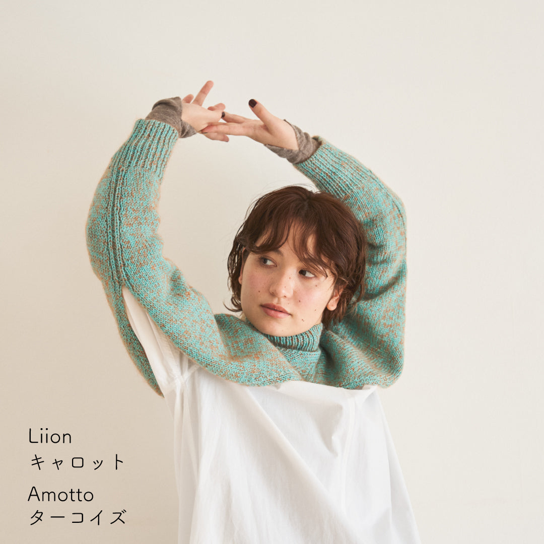 sawada itto：サワダイット-Amotto×Liion-ハイネックボレロ
