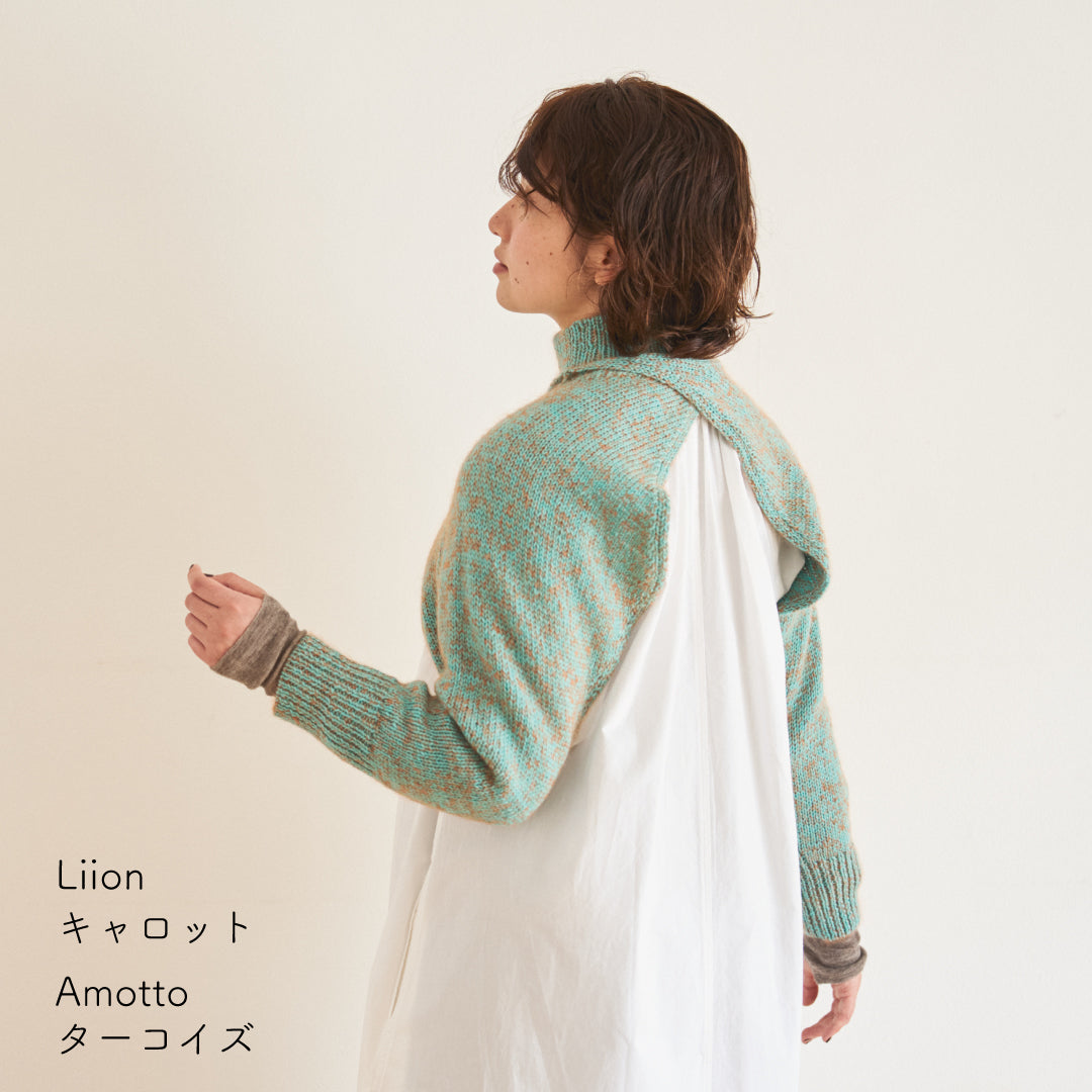 sawada itto：サワダイット-Amotto×Liion-ハイネックボレロ