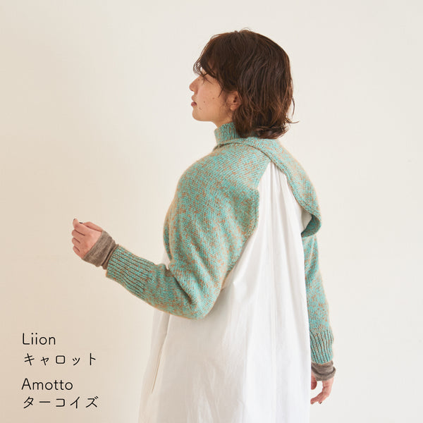 sawada itto：サワダイット-Amotto×Liion-ハイネックボレロ