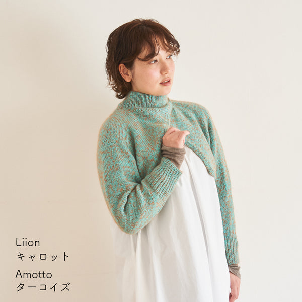 sawada itto：サワダイット-Amotto×Liion-ハイネックボレロ